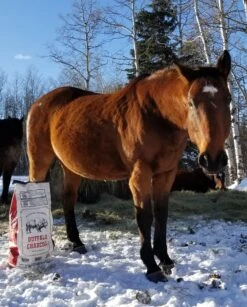 Buffalo Lump Charcoal - Mesquite -BBQ Equipment 20191206 122956