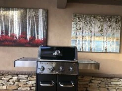 Broil King Baron 420 PRO -BBQ Equipment BroilKingBaron420PRO BK875217 2021 2