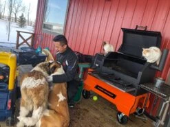 Yoder Smokers YS640S Competition Pellet Grill And Cart -BBQ Equipment IMG 1498