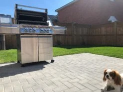 Napoleon Prestige PRO 500RSIBSS - Natural Gas -BBQ Equipment PrestigePro500stainlesssteeldog