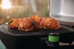 Napoleon PRO285 Portable Grill (Electric) -BBQ Equipment TravelQ PRO285E lifestyle closeup chicken