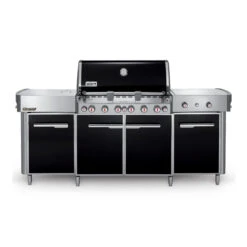 Weber Summit Grill Center