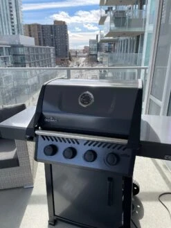Napoleon Freestyle 425 Natural Gas -BBQ Equipment barbecuebutlersinmarchof2022 4 ddb21ca1 0c51 4c0d 87c8 3df0d5c7c962