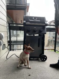 Napoleon Freestyle 365 Natural Gas -BBQ Equipment barbecuesgaloreinfeb2022 1