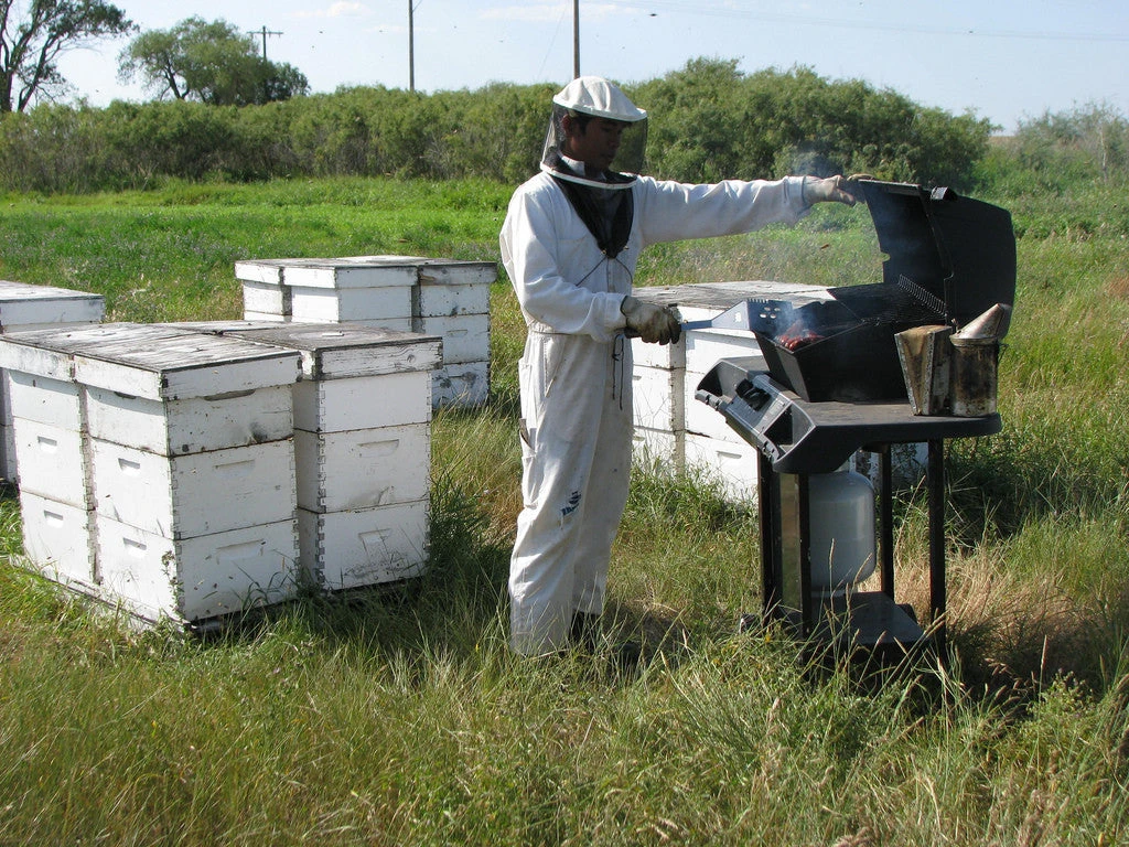 SCANDIA FIELDS HONEY 5 SCANDIA FIELDS HONEY - Image 3