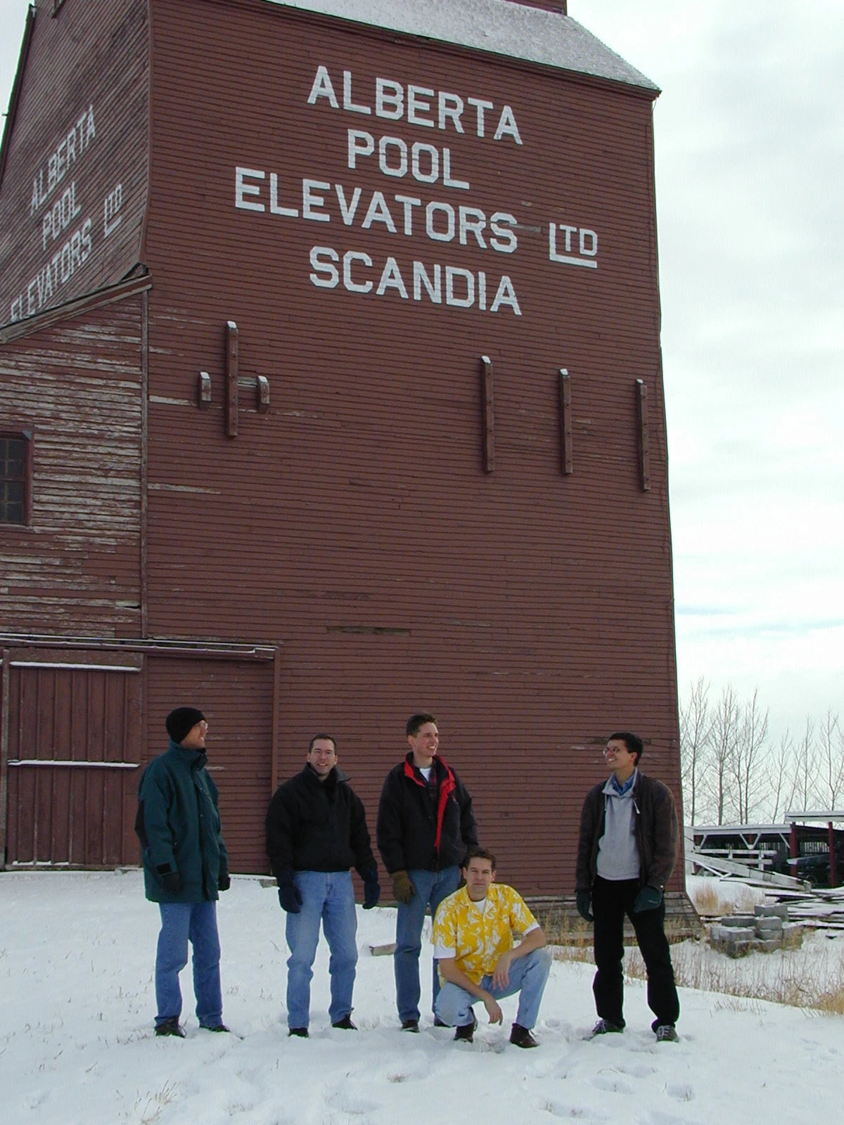 SCANDIA FIELDS HONEY 4 SCANDIA FIELDS HONEY - Image 2